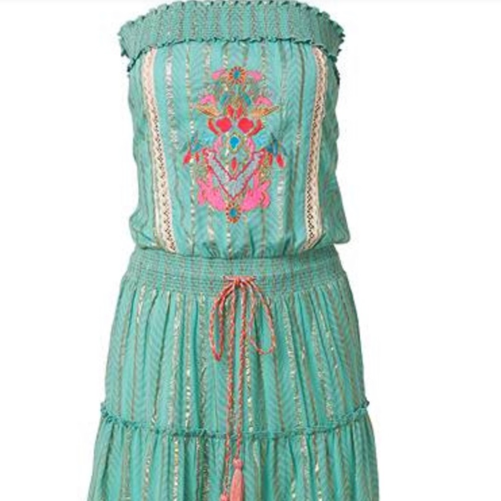 Lovely Embroidered Maxi Dress